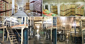 佛山金威玛月饼馅料 优质脱皮白豆批发与金属材料的完美结合